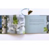 1006 Jonas der Schmetterling - von Claudia Engeler